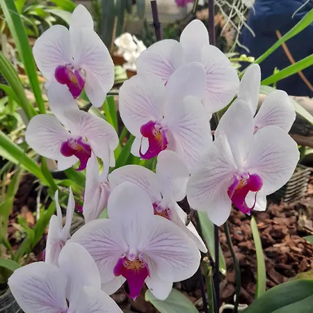 Beke Εξοχικό σπίτι