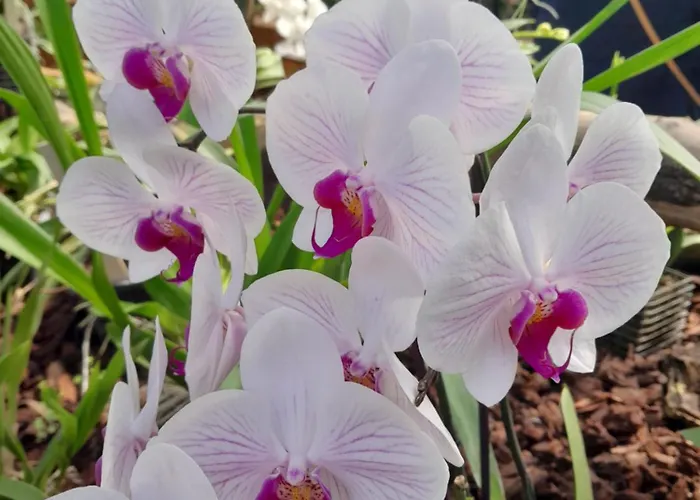 Béke Stúdió Hétvégi ház