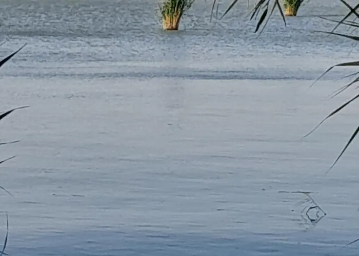 Béke Stúdió Hétvégi ház *